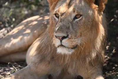 DSC_3581 (Large).JPG